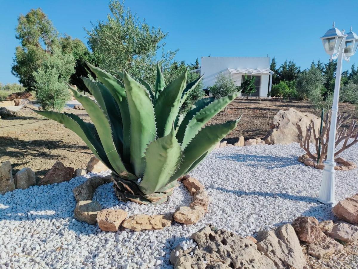 Il Giardino Di Afrodite Marinella di Selinunte Exterior photo